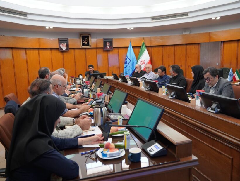 رئیس موسسه مطالعات و پژوهش های بازرگانی در شورای معاونین: لزوم دسترسی به پایگاههای معتبر علمی دنیا